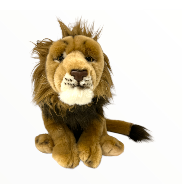 Lions Perth Zoo Shop