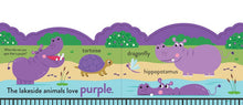 Load image into Gallery viewer, My First Colours At The Zoo Book