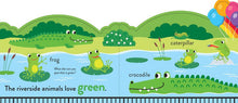 Load image into Gallery viewer, My First Colours At The Zoo Book