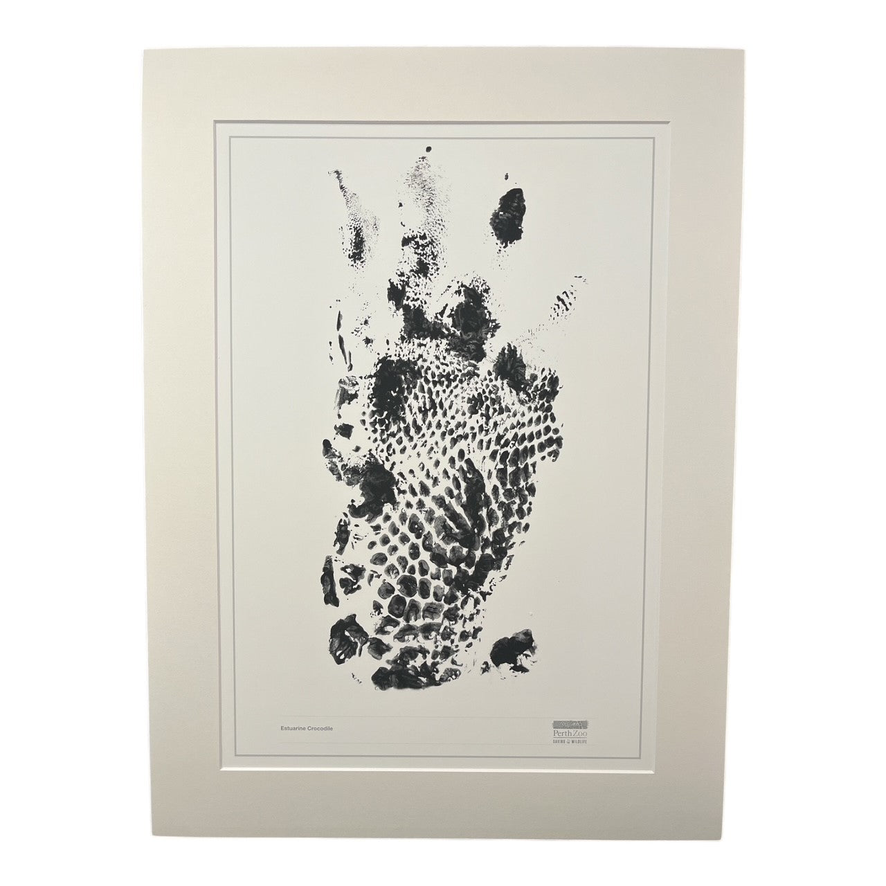 Estuarine Crocodile Paw Print