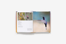 Load image into Gallery viewer, Birds of Instagram Book