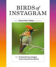 Load image into Gallery viewer, Birds of Instagram Book