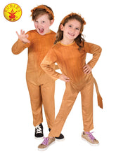 Load image into Gallery viewer, Costume Lion Character
