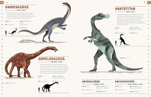 Load image into Gallery viewer, Dictionary of Dinosaurs Book