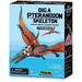 Load image into Gallery viewer, Dig a Pteranodon Skeleton Kit