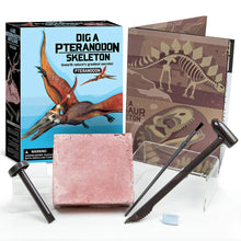 Load image into Gallery viewer, Dig a Pteranodon Skeleton Kit