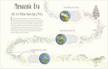 Load image into Gallery viewer, Dinosaurs And Other Prehistoric Life Book