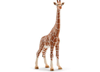 Schleich Giraffe Female – Perth Zoo Shop