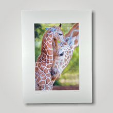 Load image into Gallery viewer, Giraffe and Calf Wild Art Photograph