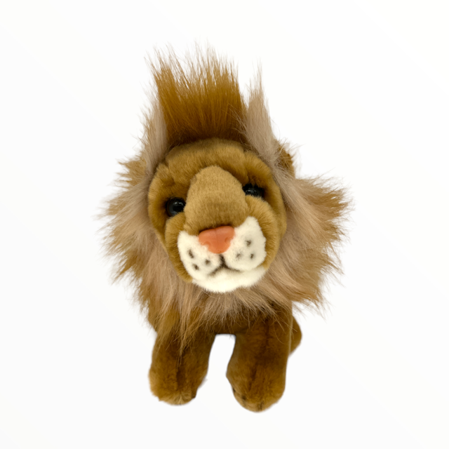 Lion Sitting Ecofriendly Soft Toy Perth Zoo Shop