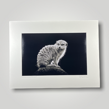 Load image into Gallery viewer, Slender-Tailed Meerkat Wild Art Photograph