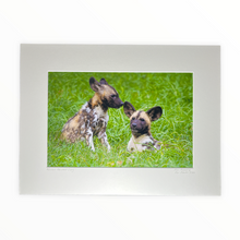 Load image into Gallery viewer, African Painted Dog Pups Wild Art Photograph