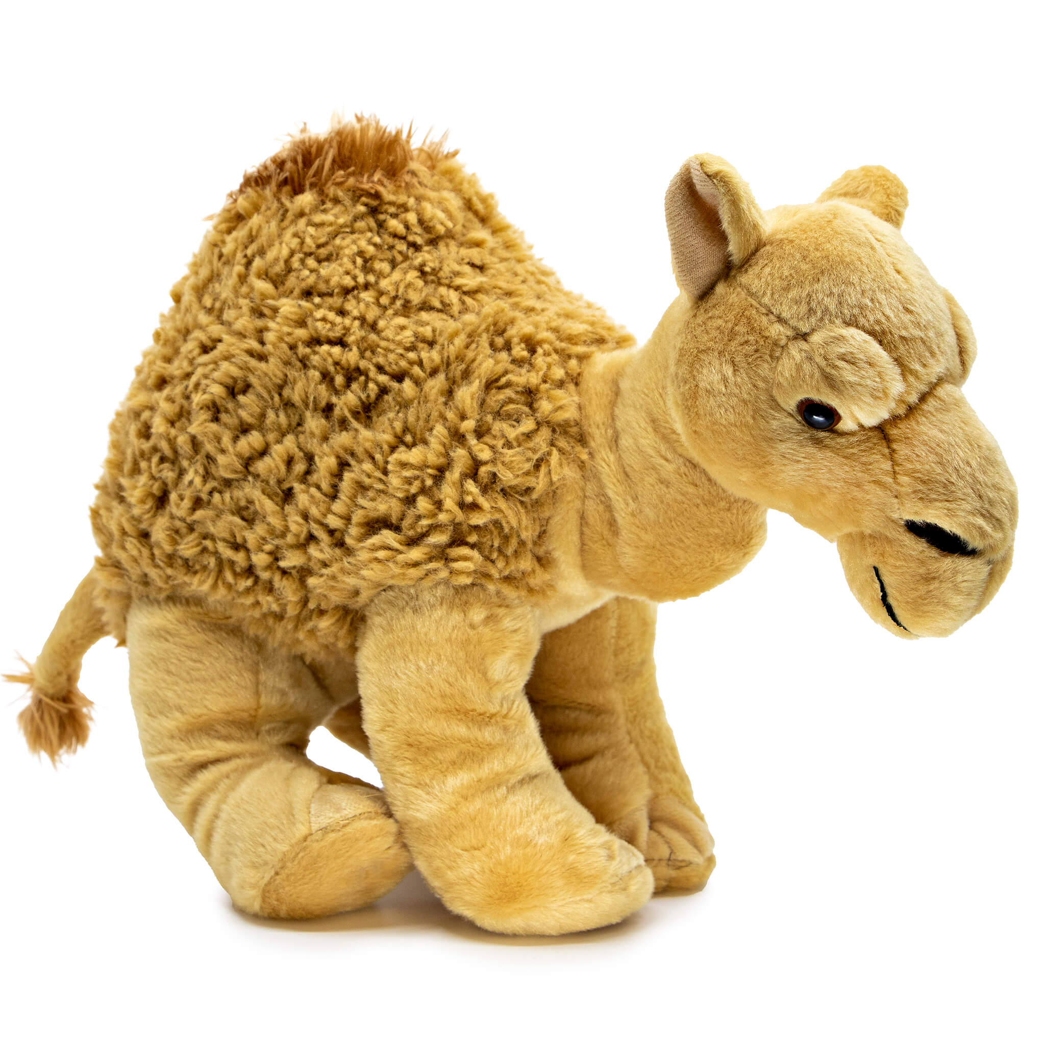 Camel Soft Toy – Perth Zoo Shop - Main Image