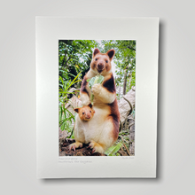 Load image into Gallery viewer, Tree Kangaroo and Joey Wild Art Photograph