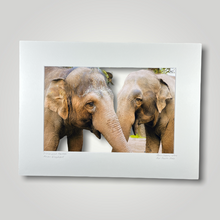 Load image into Gallery viewer, Tricia and Permai Asian Elephants Wild Art Photograph