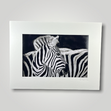 Load image into Gallery viewer, Zebra Wild Art Photograph
