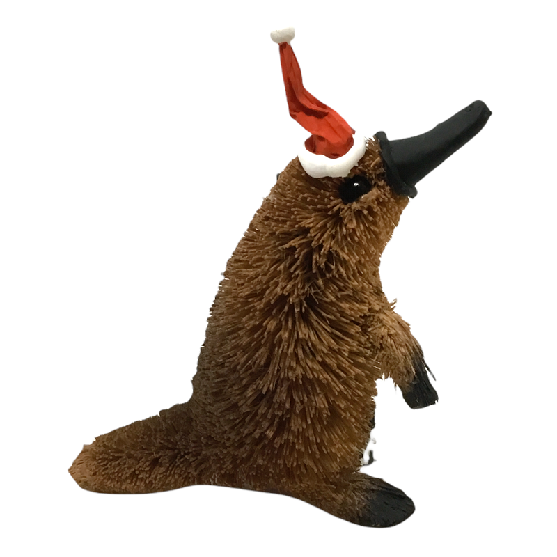 Platypus Christmas Ornament Perth Zoo Shop