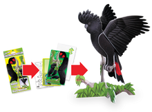Load image into Gallery viewer, Red-Tailed Black Cockatoo Pop-Out Construction Postcard
