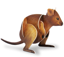 Load image into Gallery viewer, Quokka Pop-Out Construction Postcard