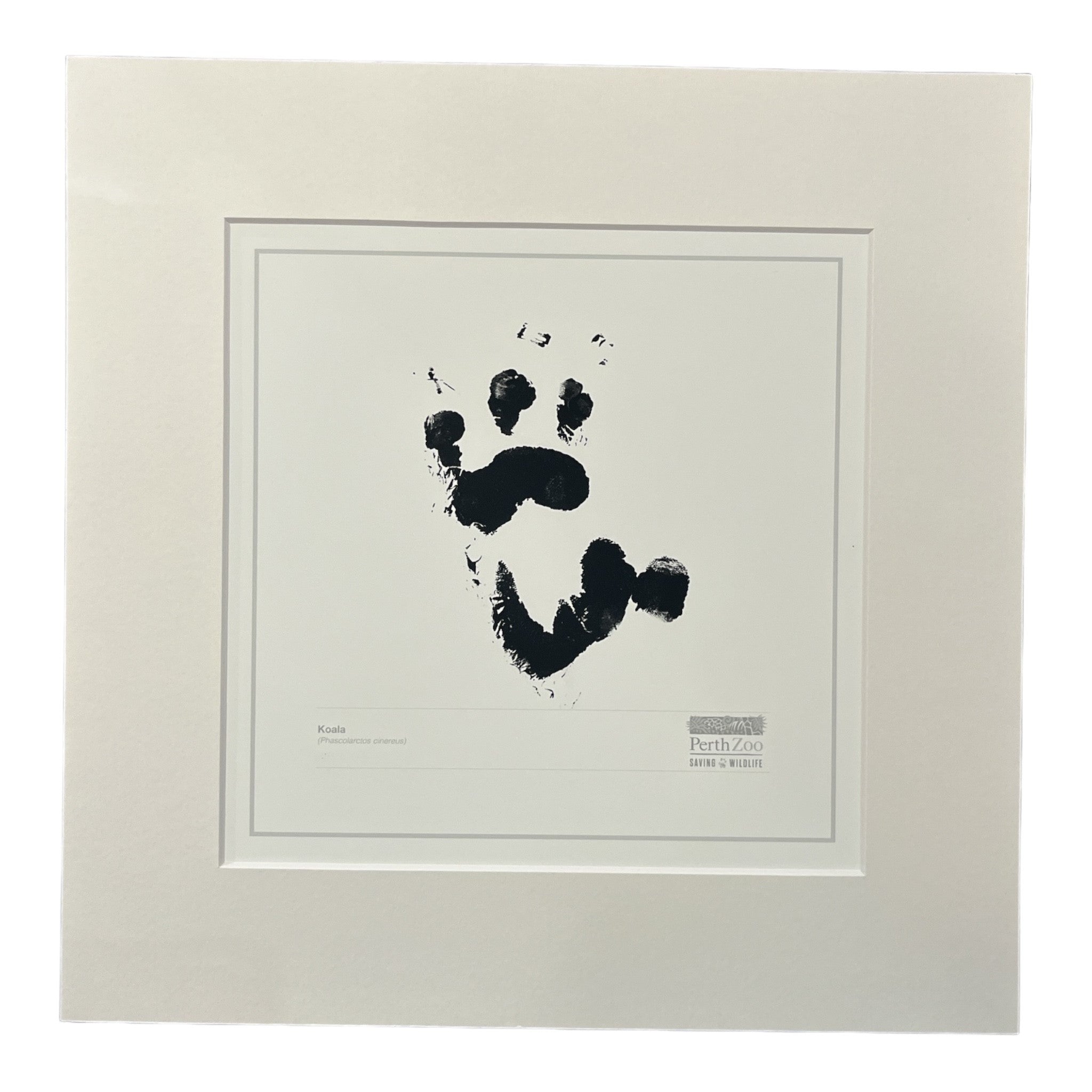 Koala Paw Print – Perth Zoo Shop