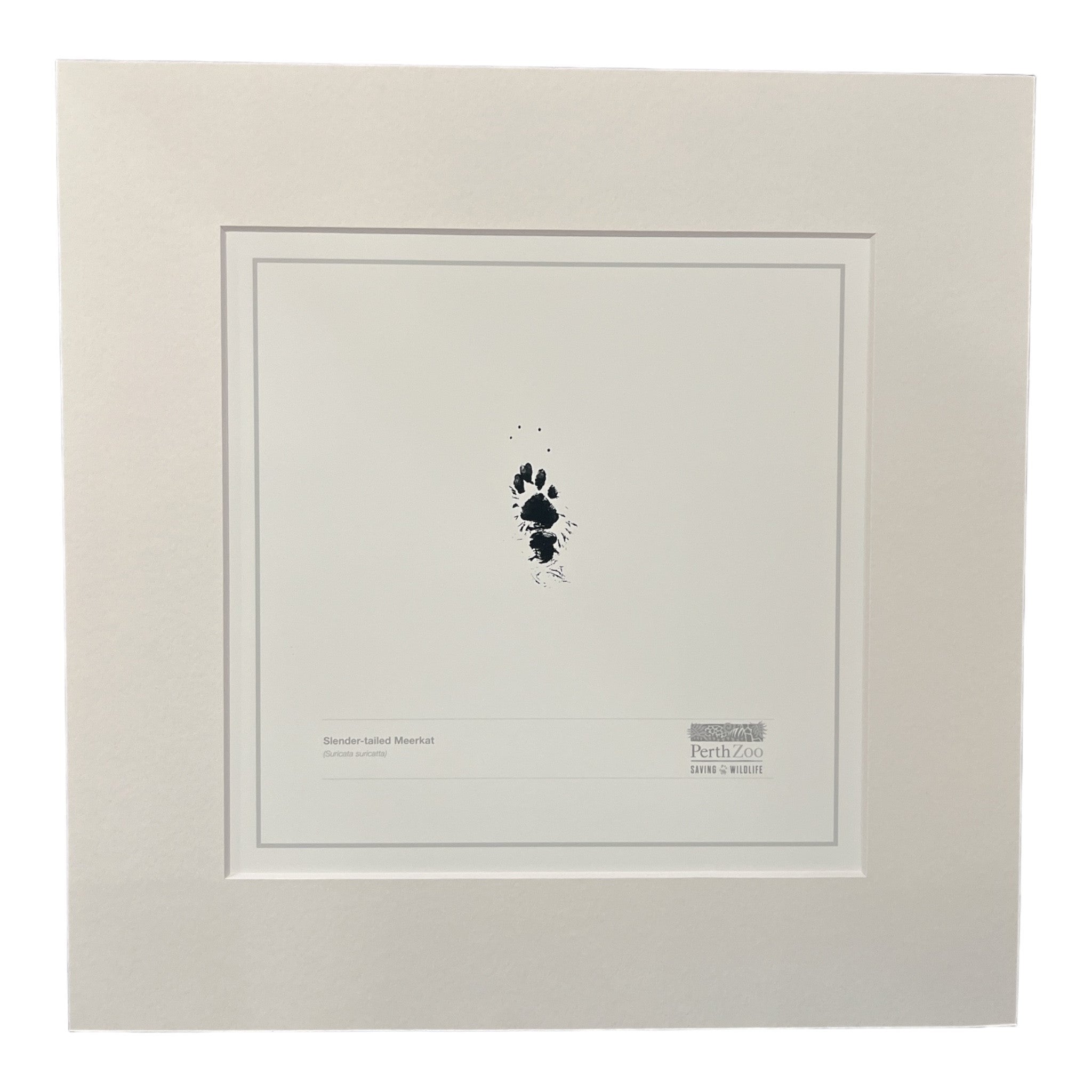 Meerkat Paw Print – Perth Zoo Shop