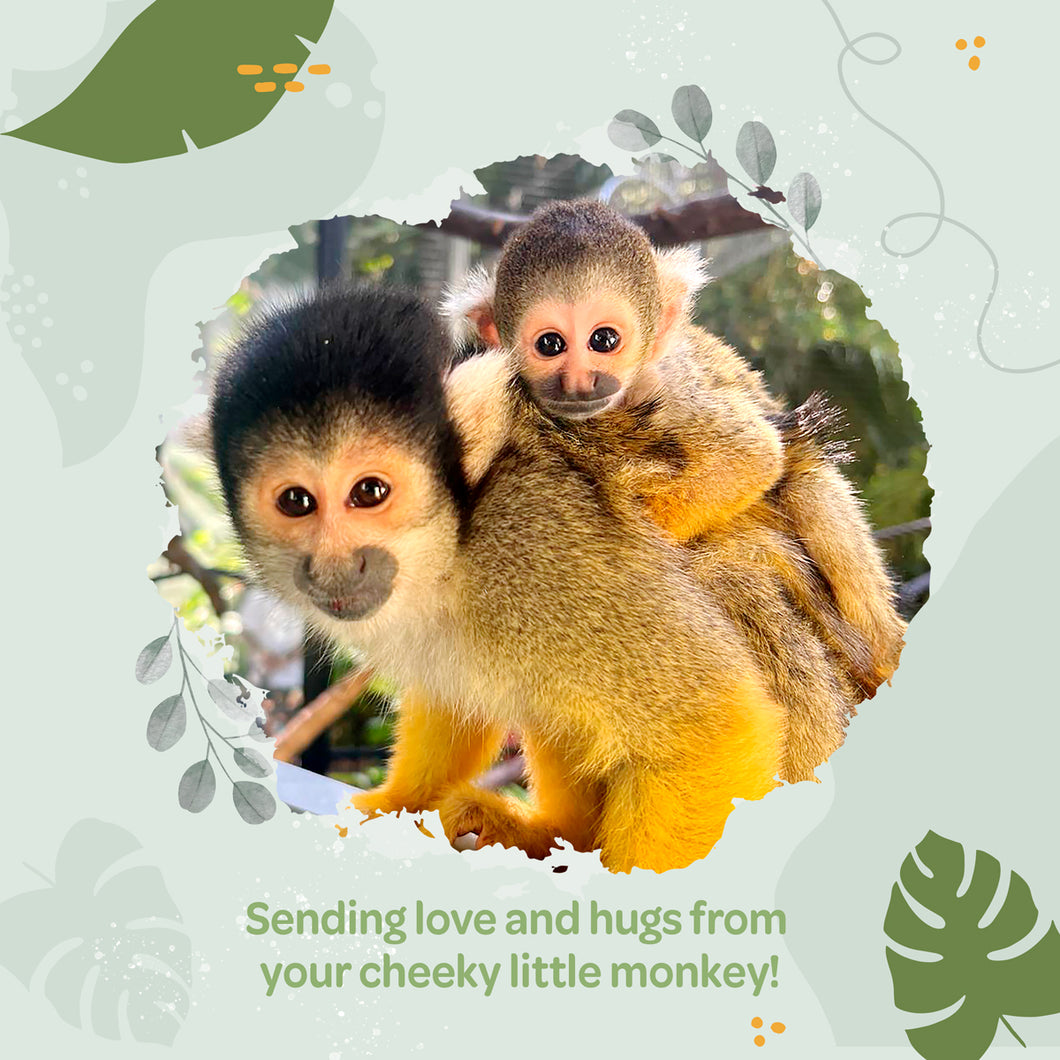 Mother's Day Wild Wish eCard 'cheeky little monkey'
