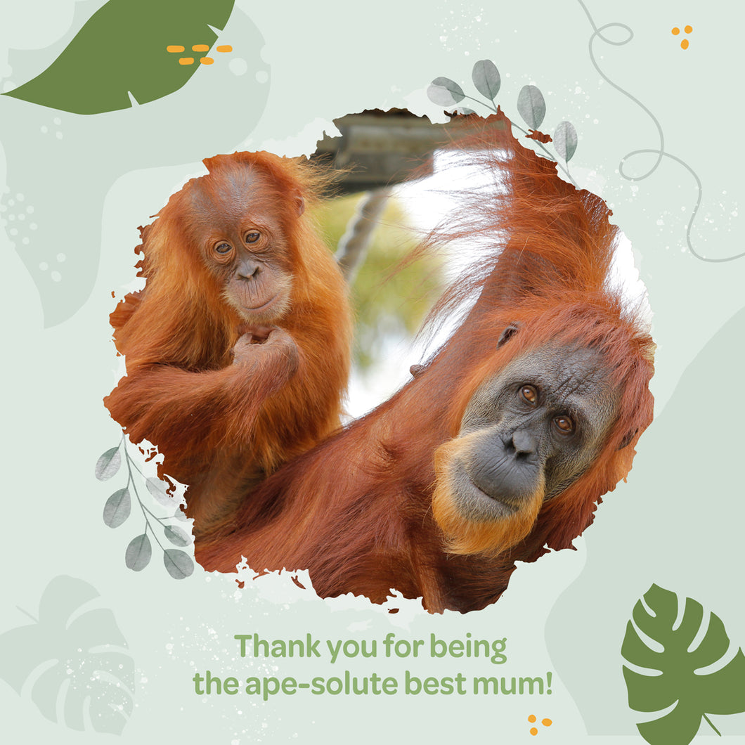 Mother's Day Wild Wish eCard 'ape-solute best mum'
