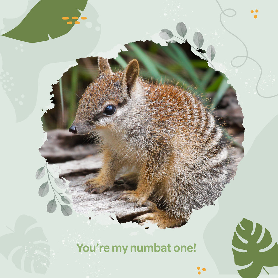 Mother's Day Wild Wish eCard 'you're my numbat one'
