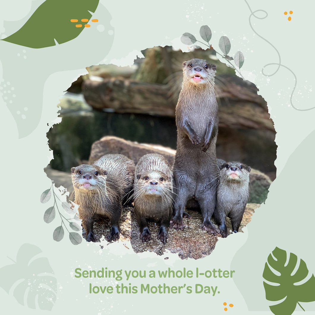 Mother's Day Wild Wish eCard 'sending you a whole l-otter love'
