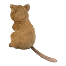 Load image into Gallery viewer, Quokka With Perth Zoo Soft Toy

