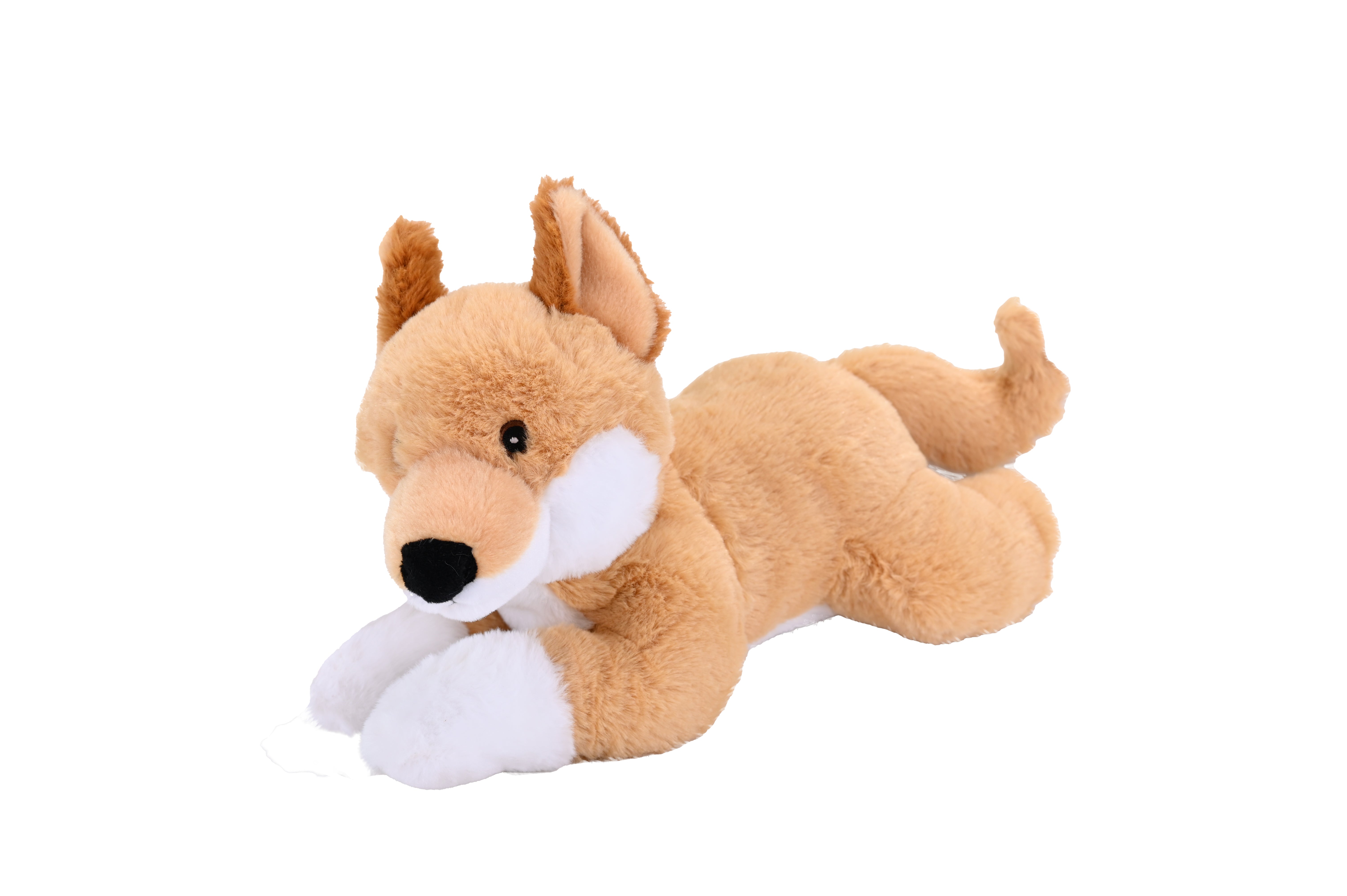 Dingo Eco-friendly Soft Toy – Perth Zoo Shop