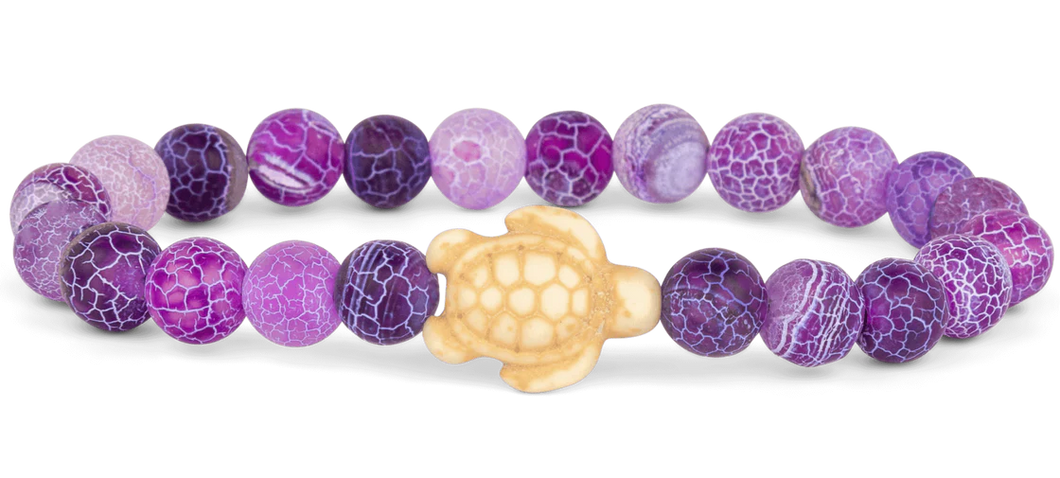 Sea Turtle Tracking Bracelet Gift Bag