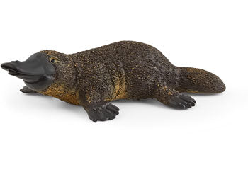 Schleich Platypus – Perth Zoo Shop