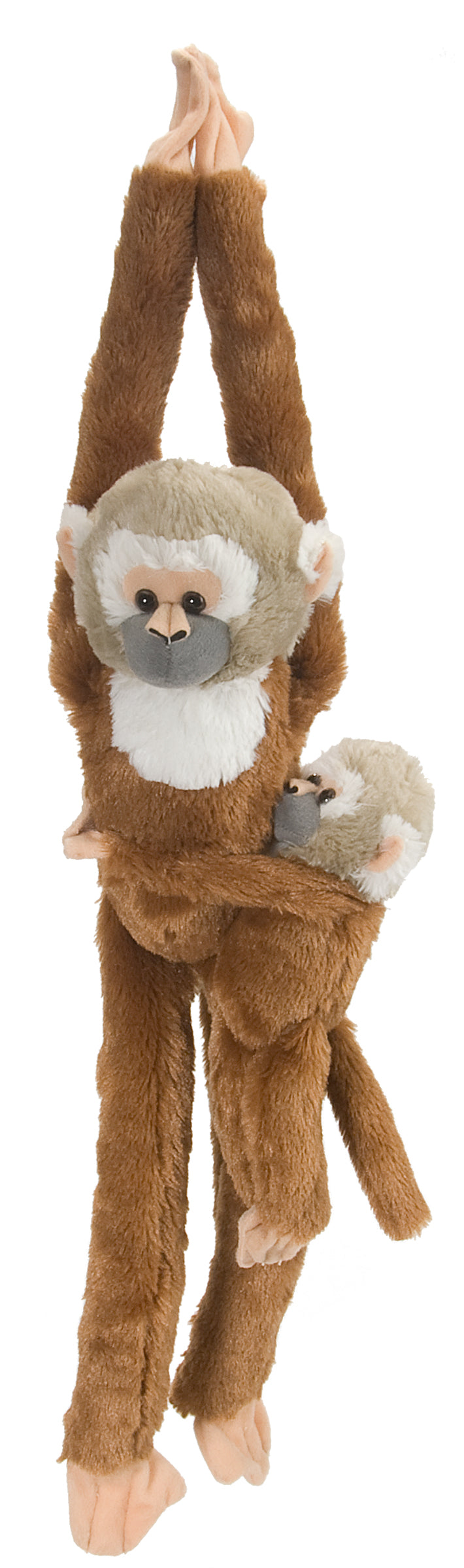 Hanging Squirrel Monkey with Baby – Perth Zoo Shop