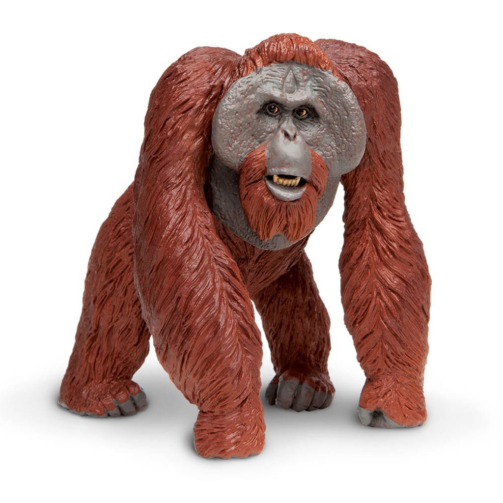 Safari Ltd Bornean Orangutan