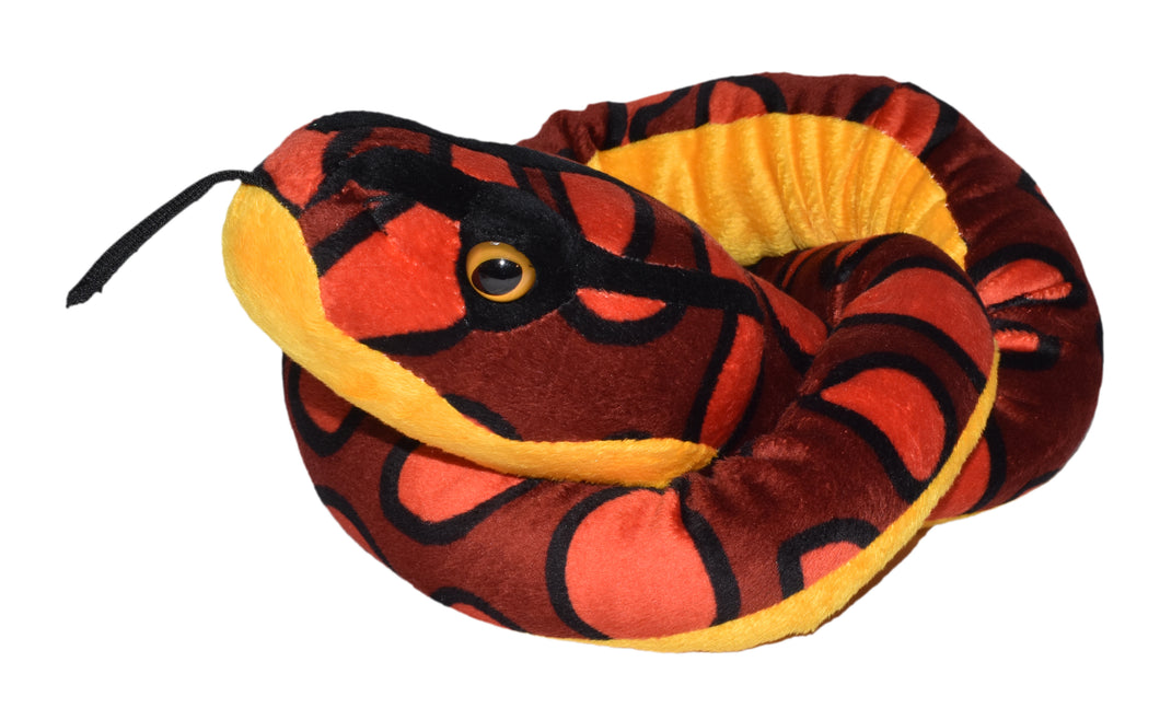 Rainbow Boa Snake