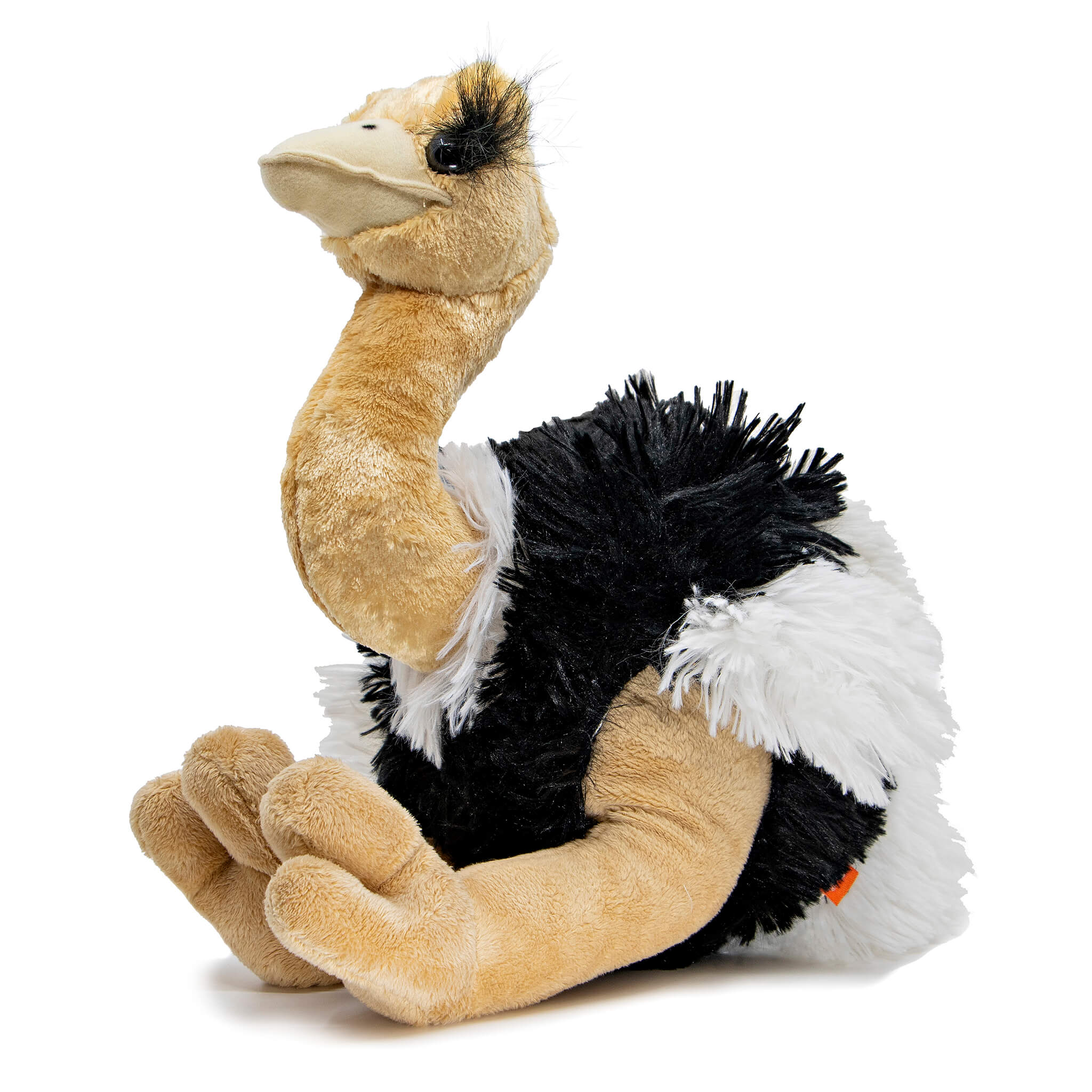 Ostrich Soft Toy – Perth Zoo Shop