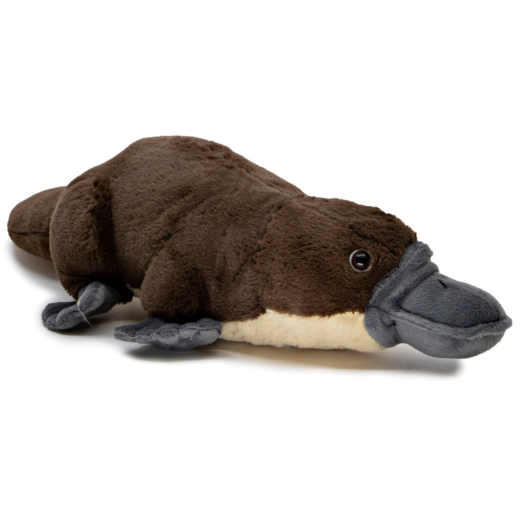 Platypus Soft Toy