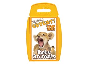 Baby Animals Card Game