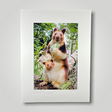 Load image into Gallery viewer, Tree Kangaroo and Joey Wild Art Photograph
