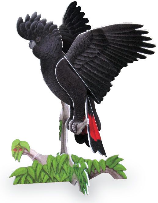 Red-Tailed Black Cockatoo Pop-Out Construction Postcard