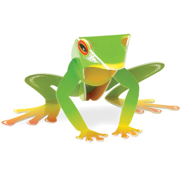 Tree Frog Pop-Out Construction Postcard