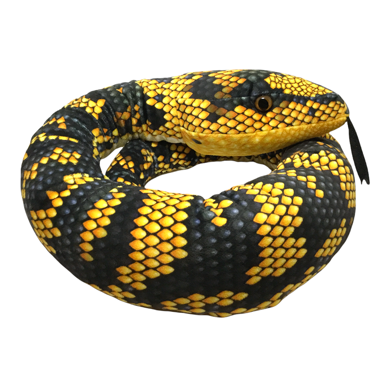 Jungle Carpet Snake – Perth Zoo Shop